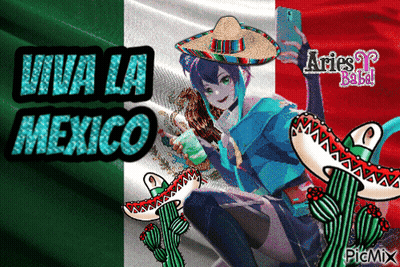 Girl In Sombrero Selfie With Mexican Flag Viva La Mexico GIF