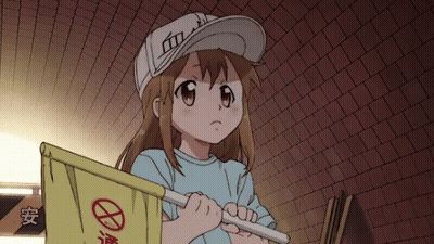 Girl In White Hat Holding Yellow Flag With Red Circle GIF