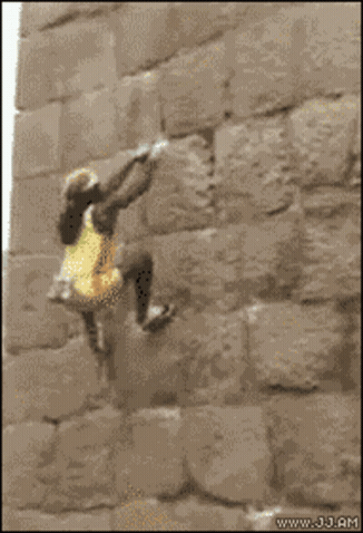 Girl In Yellow Dress Climbing Rock Wall GIF