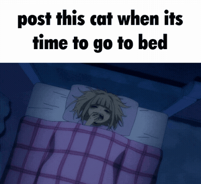 Girl Laying In Bed Post This Cat When It's Time To Go To Bed GIF