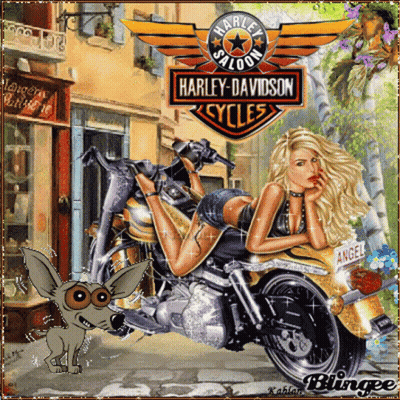 Girl Laying On Harley Davidson Motorcycle GIF