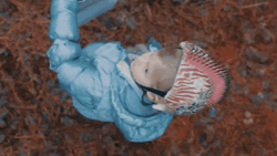 Girl Looking At Jumping Spider GIF