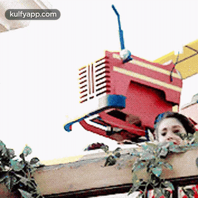 Girl Looking Out Behind Sign Kulfyapp.com GIF