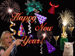 Girl Pointing Cat Happy New Year Animated GIF