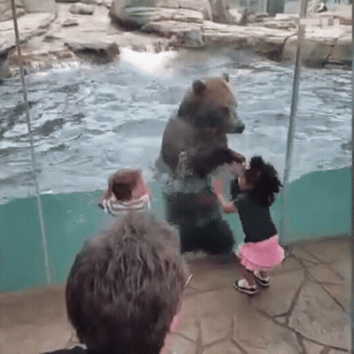 Girl Reaching Toward Bear In Pool GIF