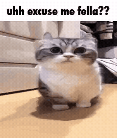 Girl Saying Well The Decision Is Yours GIF