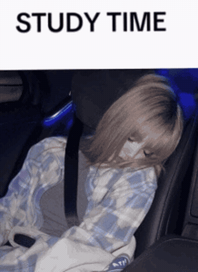Girl Sleeping In Car Saying Study Time GIF