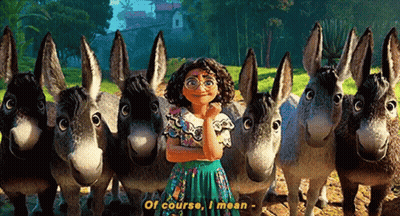 Girl Standing In Front Of Donkey Herd GIF