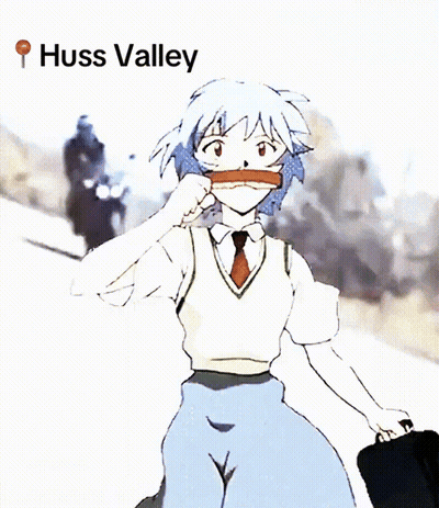Girl With Bandage Saying Huss Valley GIF