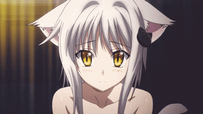 Girl With Cat Ear And Tail GIF