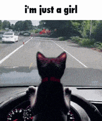 Girl With Cherry In Hair Says Im Just A Girl GIF