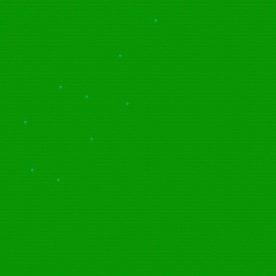 Girl With Green Hair Standing Next To Camel GIF