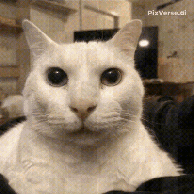 Girl With Long Blue Hair Riding Cat GIF