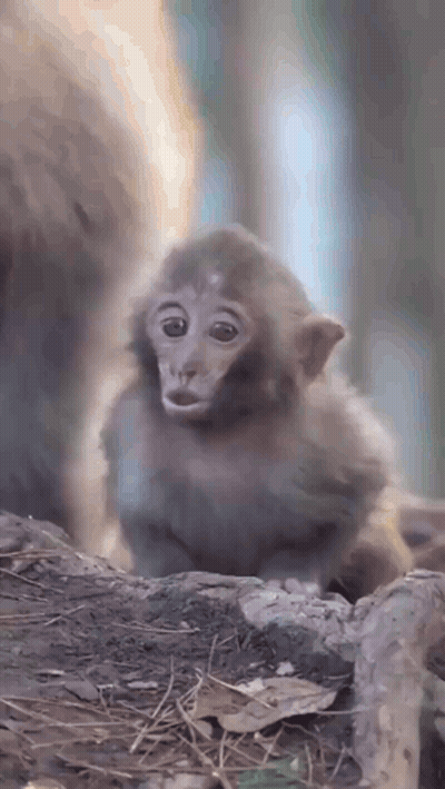 Girl With Long Brown Hair In Pink Jacket GIF