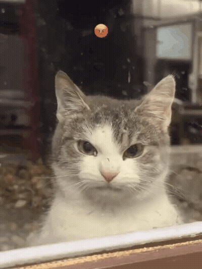Girl With Love Jesse GIF