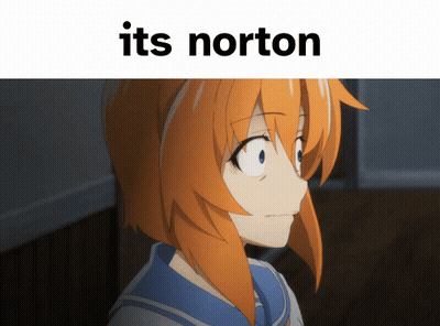 Girl With Orange Hair Its Norton GIF