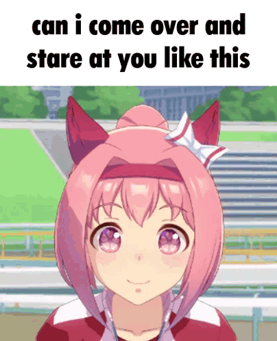 Girl With Pink Hair And Ears Can I Come Over And Stare At You Like This GIF