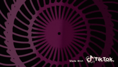 Girl With Teddy Bear On Head Saying TikTok GIF