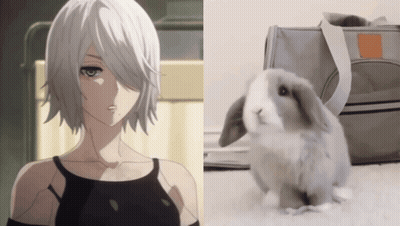 Girl With White Hair Next To Rabbit GIF