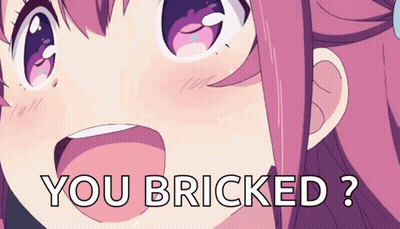 Girl With You Bricked GIF