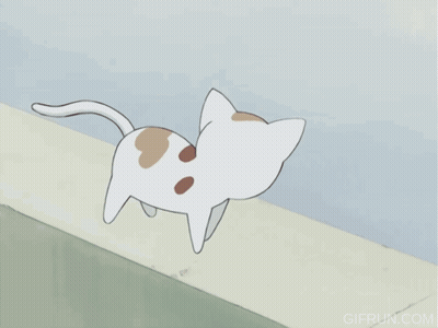 Girl Yelling At Cat Saying Garri GIF