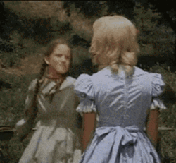 Girls Fighting And Punching Each Other GIF