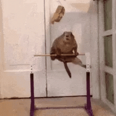 Girls Jumping Into Pool GIF