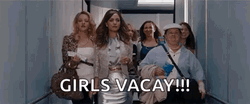 Girls Trip Girlfriends Boarding Plane Bridesmaid GIF