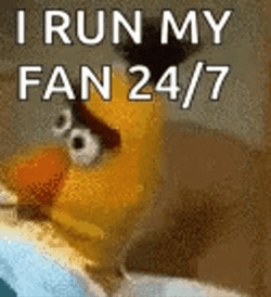 Giving Tuesday Bert GIF