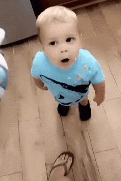 Giving Whipped Cream To Dog GIF