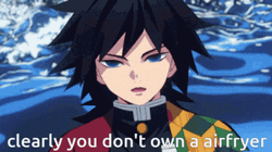 Giyuu Tomioka Clearly You Don't Own Airfryer GIF