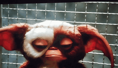 Gizmo Eyes Closed Behind Wire Fence GIF