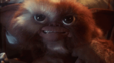 Gizmo from Gremlins Close Up