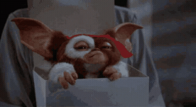 Gizmo de Gremlins en una caja blanca GIF