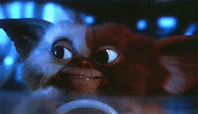 Gizmo From Gremlins Looking At Camera GIF
