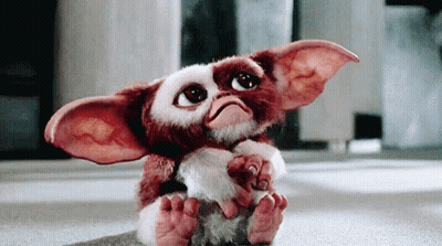 Gizmo From Gremlins Sitting On Floor Looking At Camera GIF