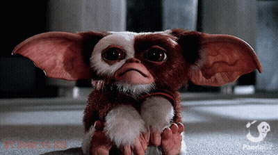 Gizmo From Gremlins Sitting On Ground GIF