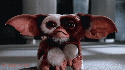 Gizmo From Gremlins Sitting On Rock GIF