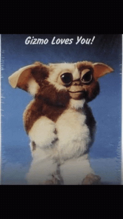 Gizmo Loves You GIF