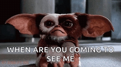 Gizmo Sitting On Floor Looking At Camera GIF