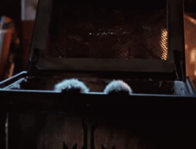 Gizmo Stuffed Animal Sticking Paws Out Window GIF