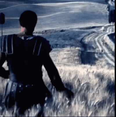Gladiator Gladiators GIF
