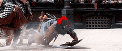 Gladiator Maximus Battling Tiger GIF