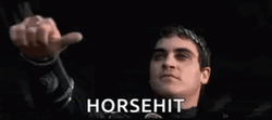 Gladiator Thumbs Up Horsehit Meme GIF