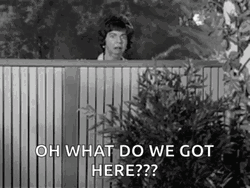 Gladys Kravitz GIF