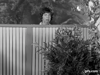 Gladys Kravitz GIF