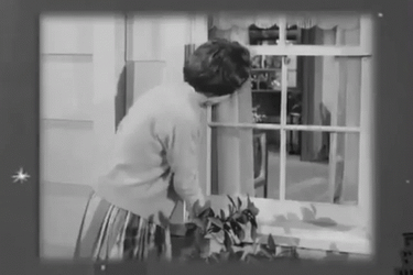Gladys Kravitz GIF