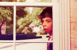 Gladys Kravitz GIF