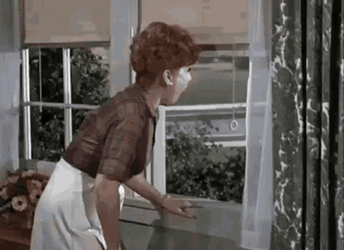 Gladys Kravitz GIF