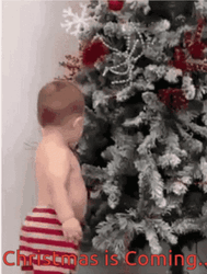 Glaring Kid Xmas Is Coming GIF